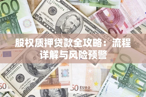 北京股权质押贷款全攻略：流程详解与风险预警