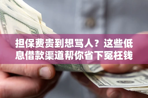 北京担保费贵到想骂人？这些低息借款渠道帮你省下冤枉钱