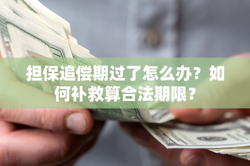 北京担保追偿期过了怎么办？如何补救算合法期限？
