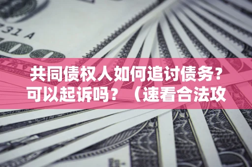 北京共同债权人如何追讨债务？可以起诉吗？（速看合法攻略）