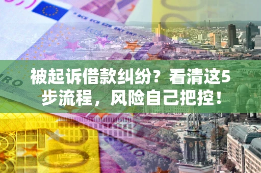 北京被起诉借款纠纷？看清这5步流程，风险自己把控！
