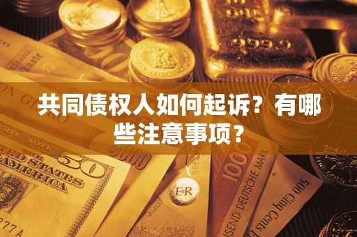 北京共同债权人如何起诉？有哪些注意事项？